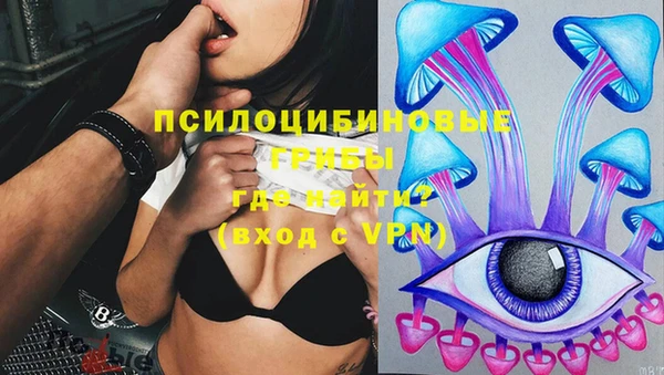 крисы Аркадак