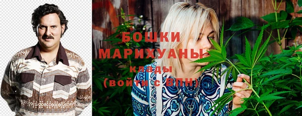 винт Пересвет
