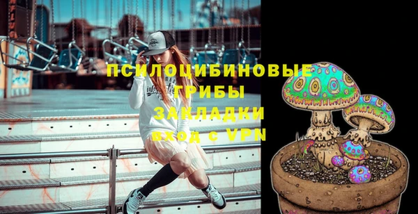твердый Армянск
