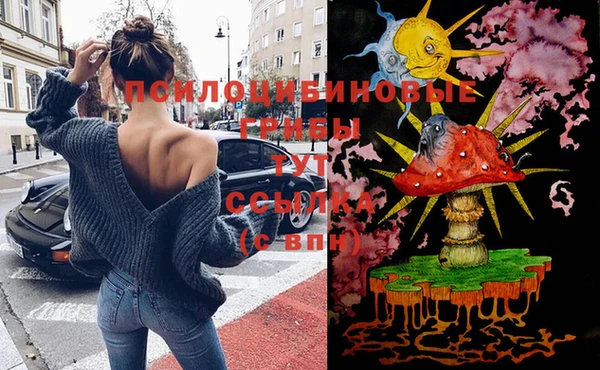 эйфоретик Арсеньев