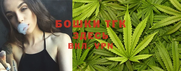 эйфоретик Арсеньев