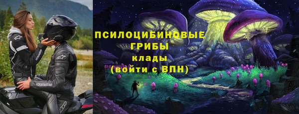 эйфоретик Арсеньев