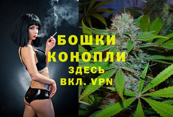 винт Пересвет