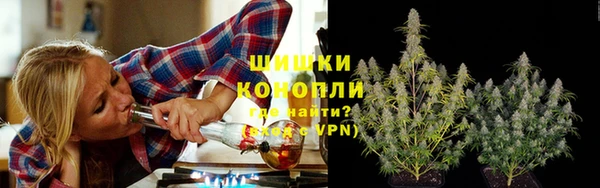 крисы Аркадак