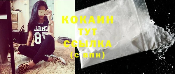 крисы Аркадак